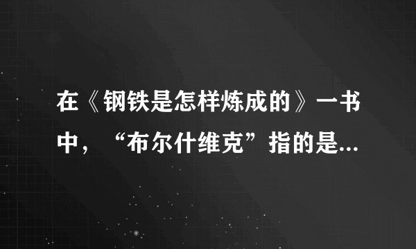 在《钢铁是怎样炼成的》一书中，“布尔什维克”指的是什么？是党名？是人名，还是一种身份？