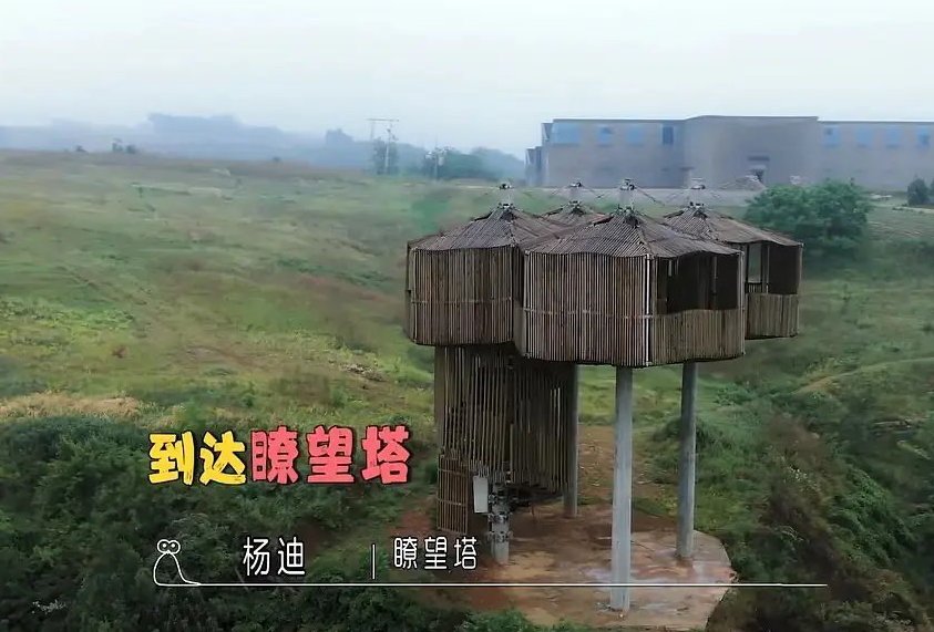 马伯骞爸爸为何要在乡村建民宿？