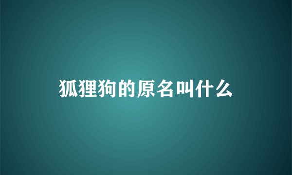 狐狸狗的原名叫什么