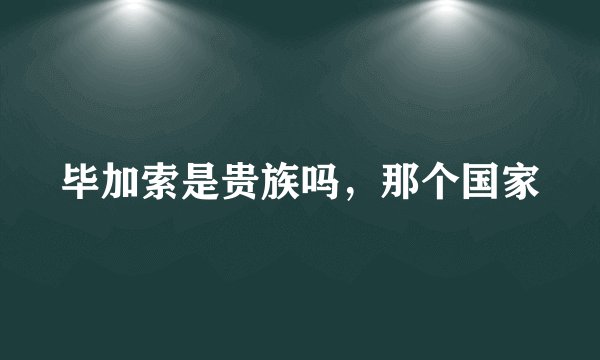 毕加索是贵族吗，那个国家