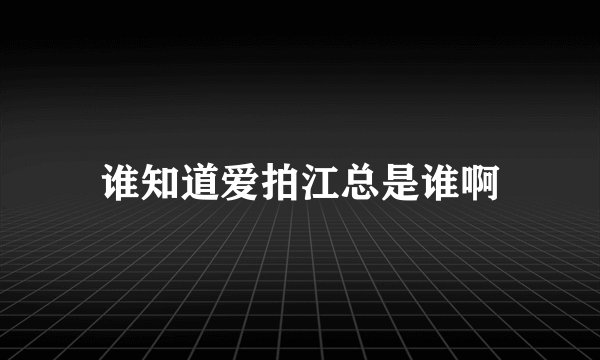 谁知道爱拍江总是谁啊