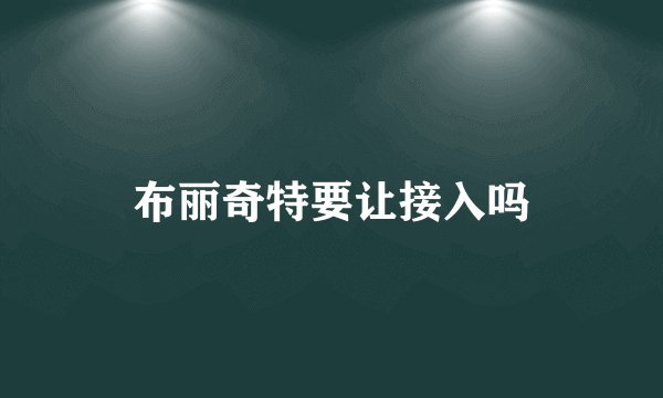 布丽奇特要让接入吗