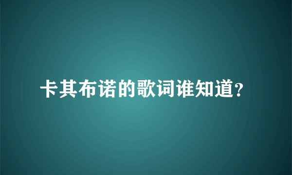 卡其布诺的歌词谁知道？