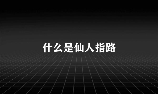 什么是仙人指路
