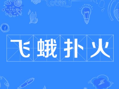 凤凰欲火，是为了重生。那...飞蛾扑火，是为了什么呢?