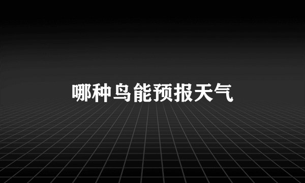 哪种鸟能预报天气
