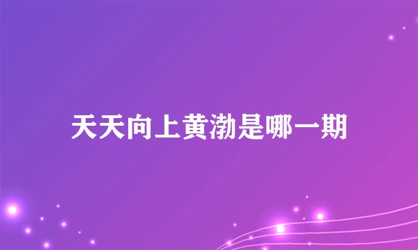 天天向上黄渤是哪一期