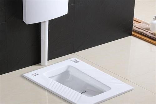 蹲便器要多少钱
