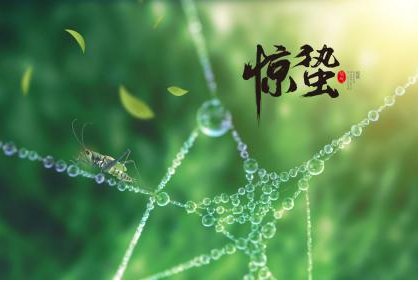 2023年惊蛰几点几分