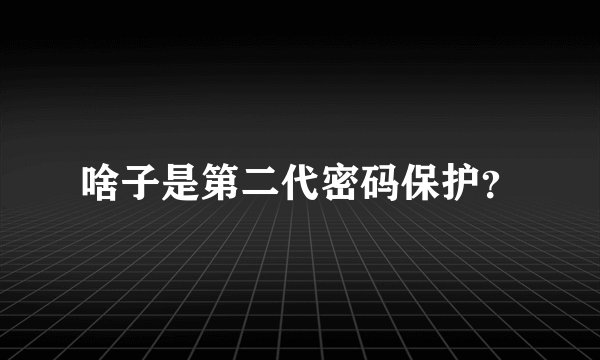 啥子是第二代密码保护？